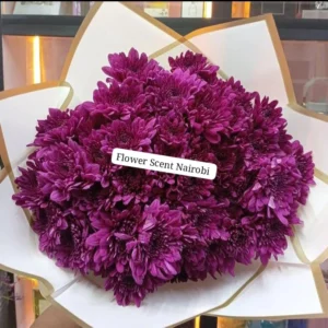LILAC CHRYSANTHEMUMS