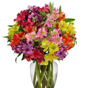 Alstroemeria FLOWERS IN A VASE