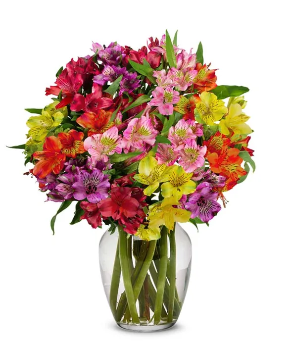 Alstroemeria FLOWERS IN A VASE